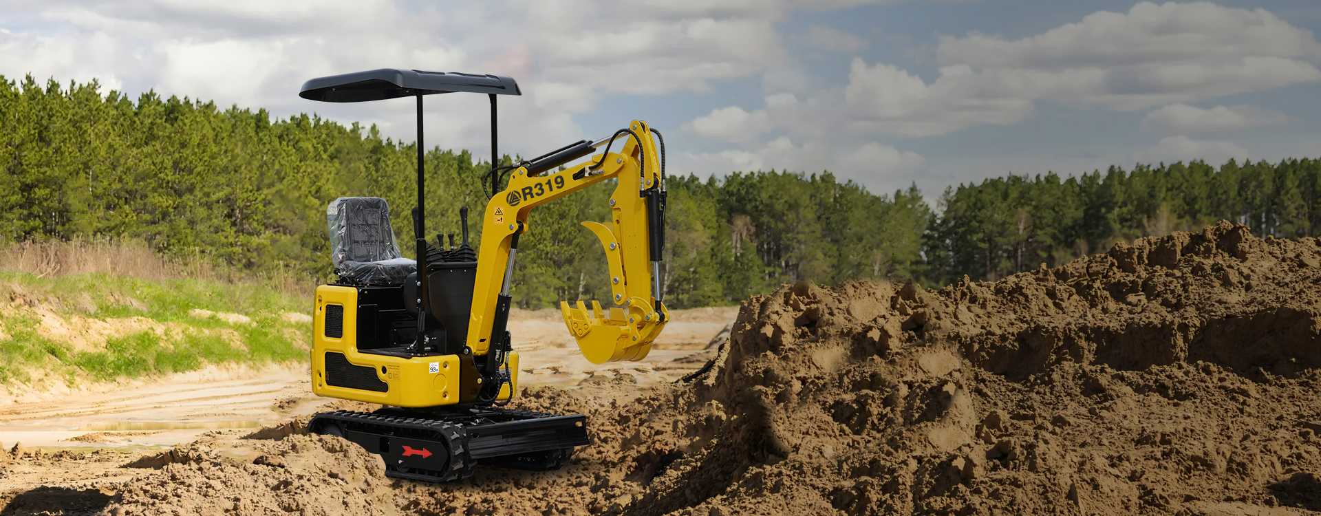 Rippa R319